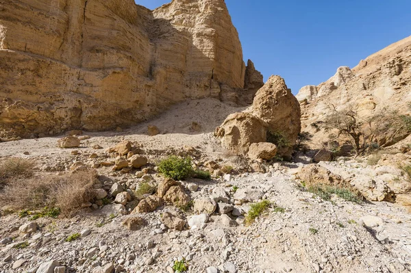 İsrail Taş Çölü