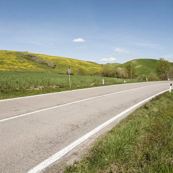 Asfalterad väg mellan äng i Italien — Stockfoto