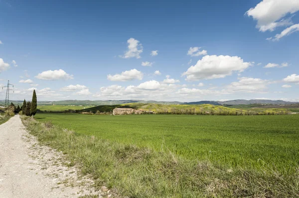 Dirt road between meadows in Italy — Stock Photo, Image