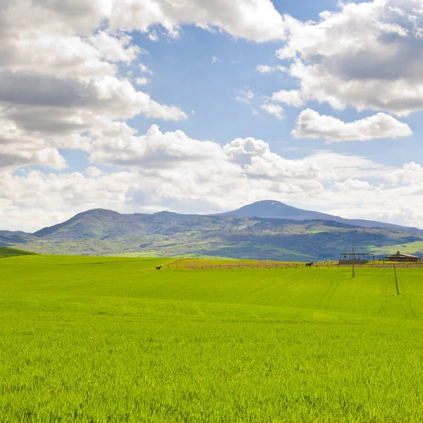 Pferderanch, Felder und Weiden — Stockfoto