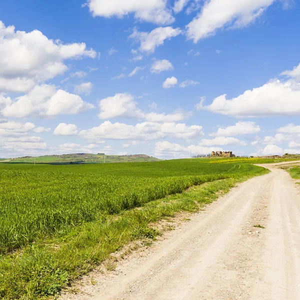 Toprak yol çayır arasında — Stok fotoğraf