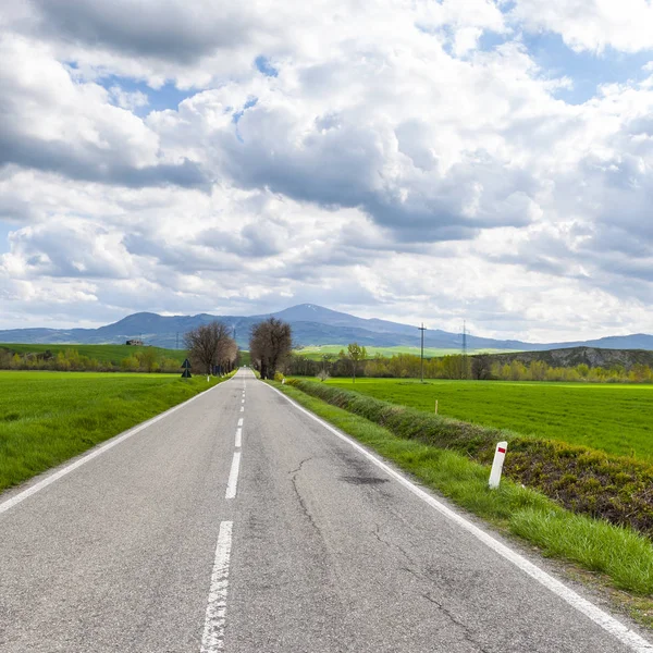 Route asphaltée entre prairie en Italie — Photo