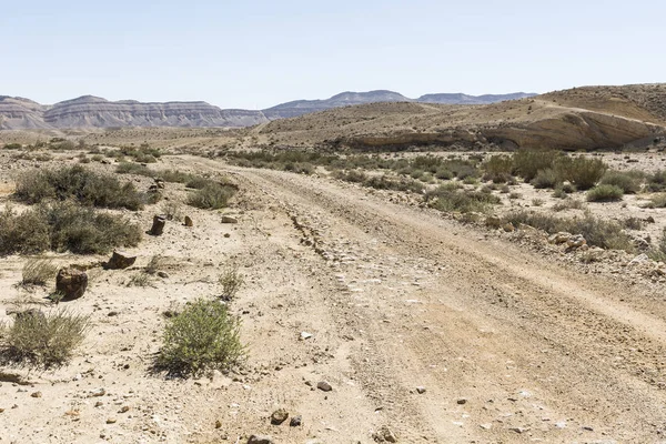 Breathtaking landscape of the desert