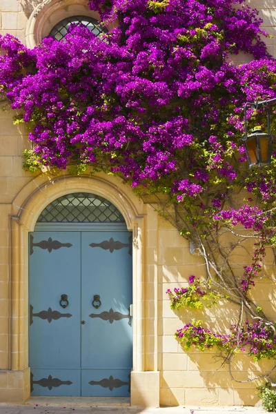 Malta kapı çiçeklerle süslenmiş — Stok fotoğraf