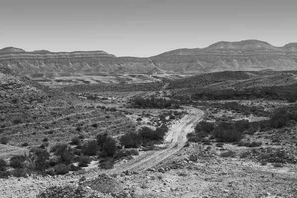 숨막힐 듯 한 사막의 풍경 — 스톡 사진