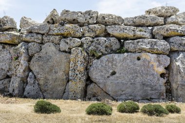 Malta megalitik Tapınak 