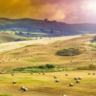 Sonra hasat Sicilya saman balya. 