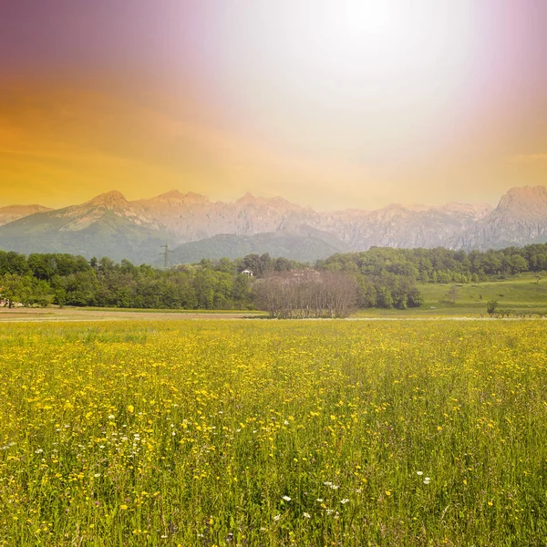 Valle della montagna all'alba — Foto Stock