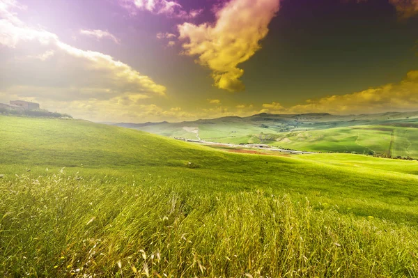 Пшеничные поля на рассвете — стоковое фото