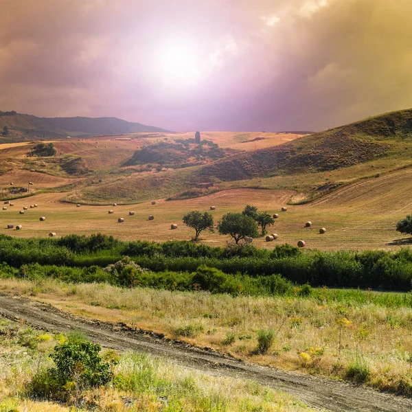 Straw bales after harvest in Sicily. — Stock Photo, Image