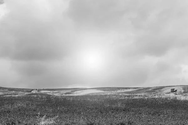 Çiçekli alanları Sicilya  