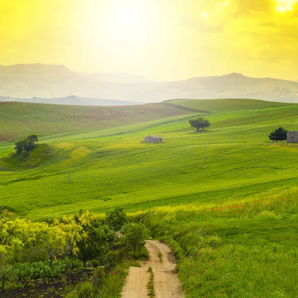 Sicilian landscape at sunrise — Stock Photo, Image