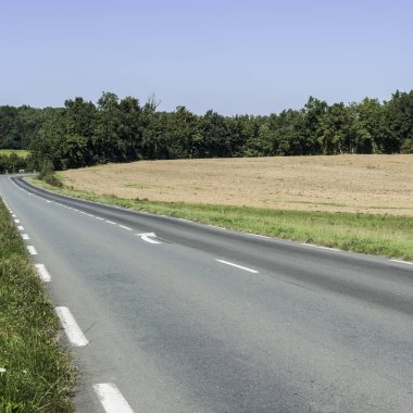 flor del sol sobre fondo de cielo azul