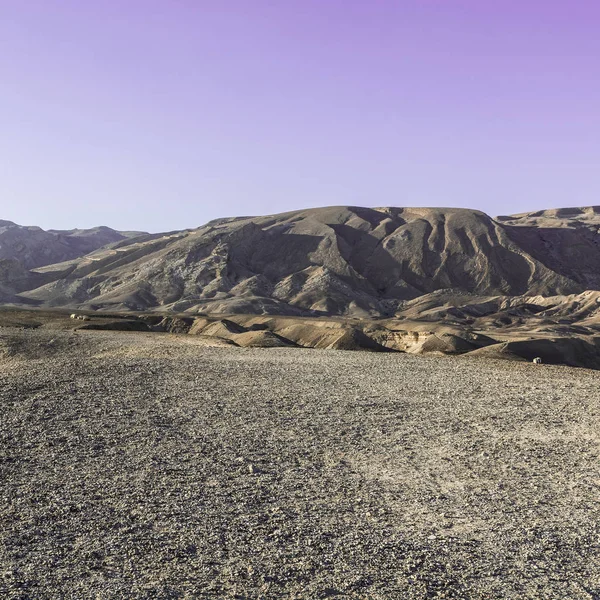 Negev-Wüste in Israel — Stockfoto