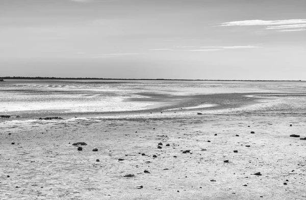 Reserva natural Camargue em França — Fotografia de Stock