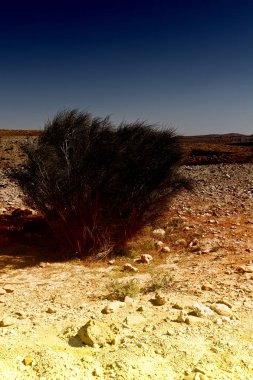 İsrail 'de Negev Çölü.