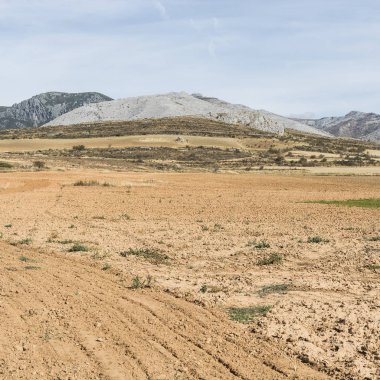 Sabahları İspanyol manzara