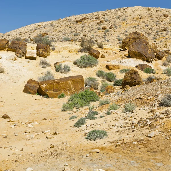 以色列沙漠中的岩层 — 图库照片