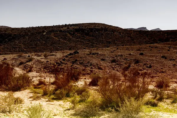 Deserto de Negev em Israel — Fotografia de Stock