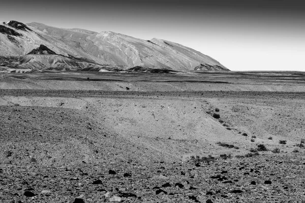 Desierto del Negev en Israel —  Fotos de Stock