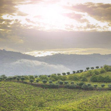Muhteşem puslu gündoğumu 