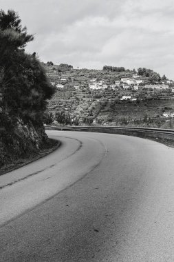 Üzüm bağları arasında asfalt yol