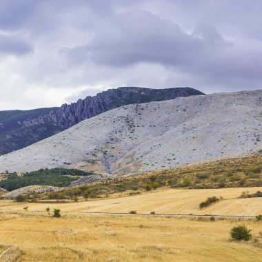 Demiryolu tarladan geçiyor. 