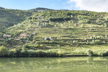 Douro Nehri bölgesinde seyahat et