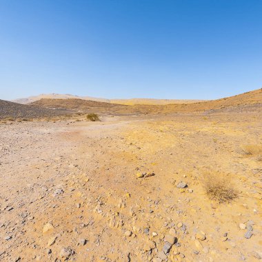 Doğa Orta Doğu.
