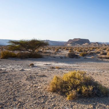 Doğada ıssız Infinity