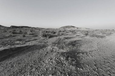 Siyah beyaz çöl