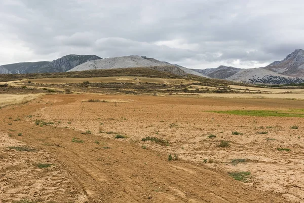 Camino de tierra en un día lluvioso — Foto de Stock