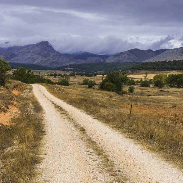 Dirt road on a rainy day — Stock Photo, Image