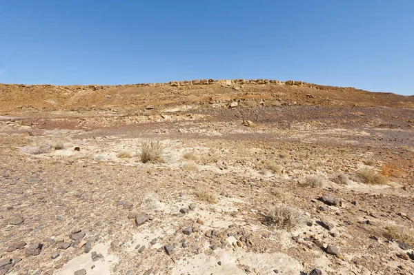 Nature of the Middle East. — Stock Photo, Image