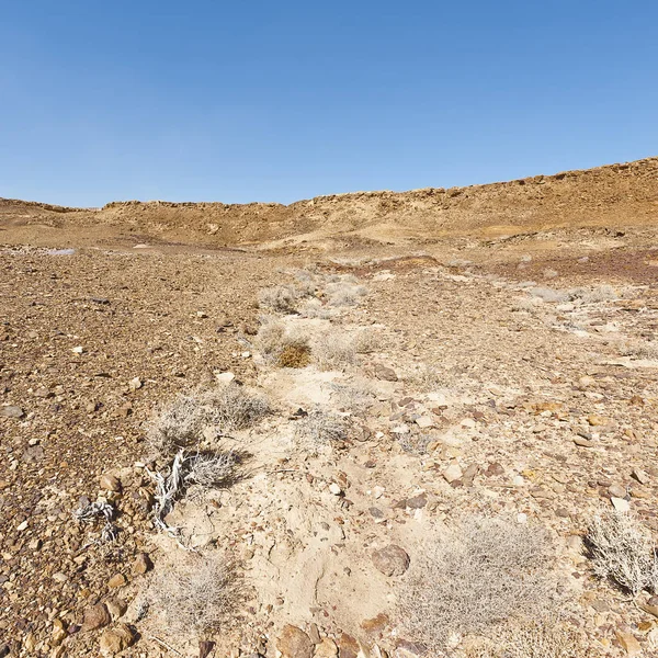 Nature of the Middle East. — Stock Photo, Image