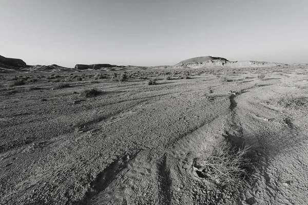 Desierto en blanco y negro — Foto de Stock