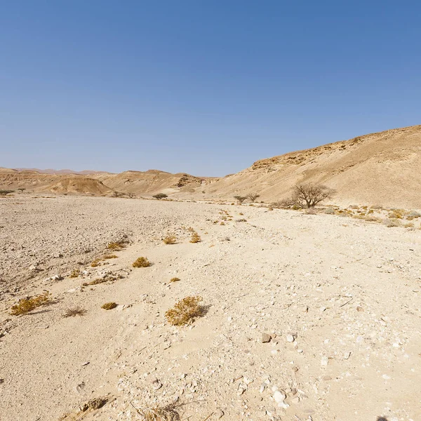 Woest oneindigheid in het Midden-Oosten — Stockfoto