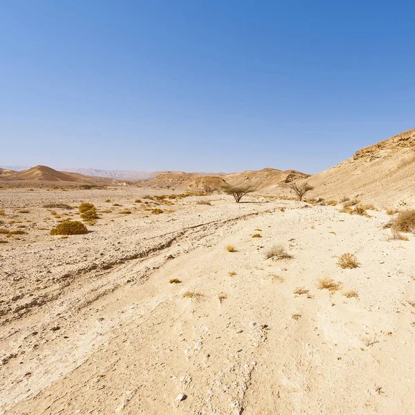 Orta Doğu'daki ıssız Infinity