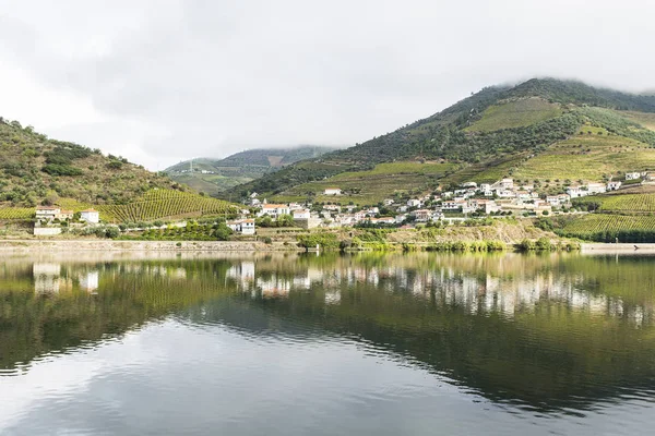 Vinhedos Região Rio Douro Portugal Visões Paisagem Rural Portuguesa — Fotografia de Stock