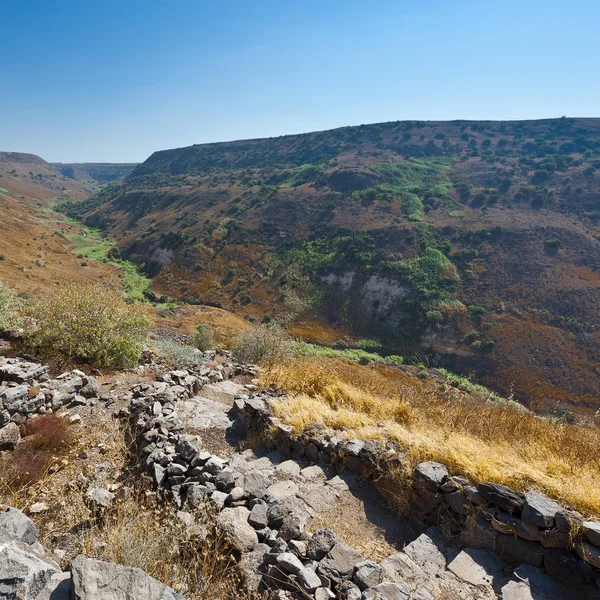 Přírodní Rezervace Gamla Nachází Golan Heights Izraeli Pohled Archeologické Naleziště — Stock fotografie