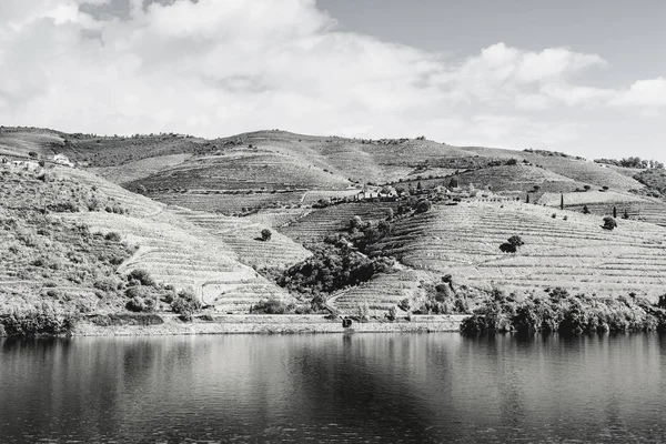 ポルトガルのドゥオーロ川地域をブドウ畑やオリーブ畑の間で旅行します ポルトガルの村のブドウ栽培 白黒写真 — ストック写真