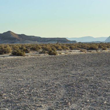 İsrail 'deki Negev Çölü' nün kayalık tepelerinde yalnızlık ve boşluk. Ortadoğu 'nun nefes kesici manzarası ve doğası.