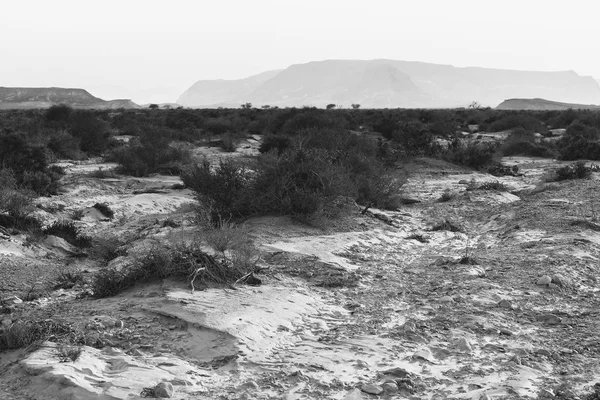 Desolada Infinidad Las Colinas Rocosas Del Desierto Del Neguev Israel — Foto de Stock