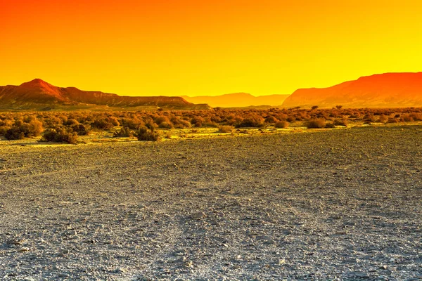 イスラエルのネゲヴ砂漠のカラフルな岩の丘 日没時の中東の息をのむような風景と自然 — ストック写真