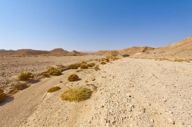Melankoli ve boşluk of the desert filmindeki İsrail.
