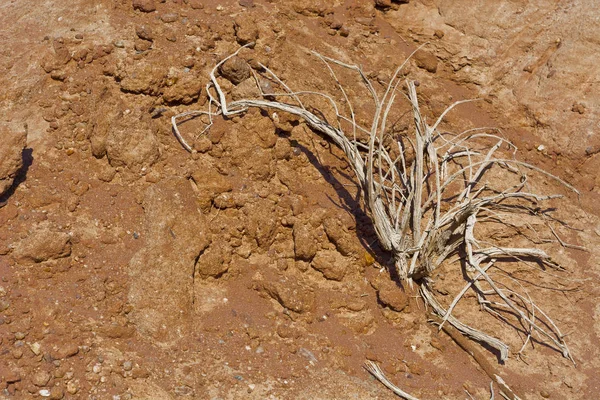 Natürliche Muster als Hintergrund — Stockfoto