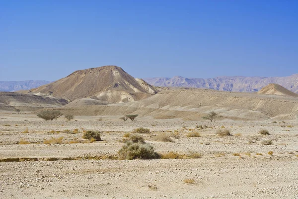 Samotność i pustka pustyni — Zdjęcie stockowe
