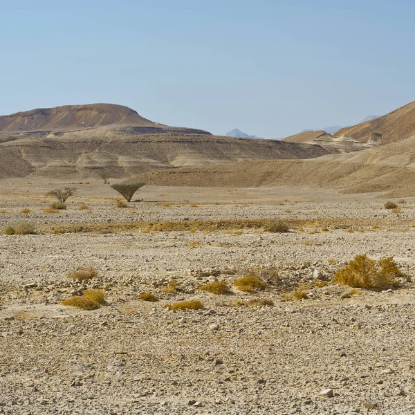 Eenzaamheid en leegte van de woestijn — Stockfoto