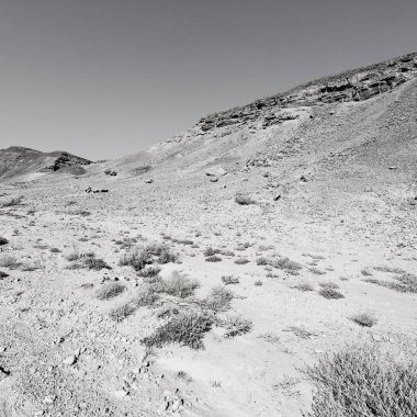 Depresyon ve siyah beyaz boşluk