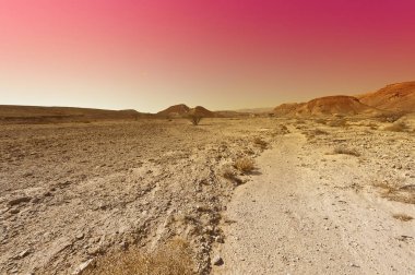 İsrail çölde azgın renkleri.